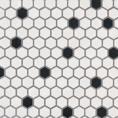 BLACK AND WHITE 1" HEXAGON MATTE