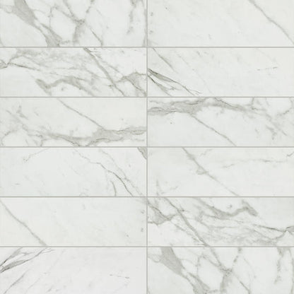 Platinum Calacatta Empire Square 24X24 Matte