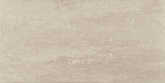 Theoretical Evolved Fundamental Gray Rectangle 12X24 Textured