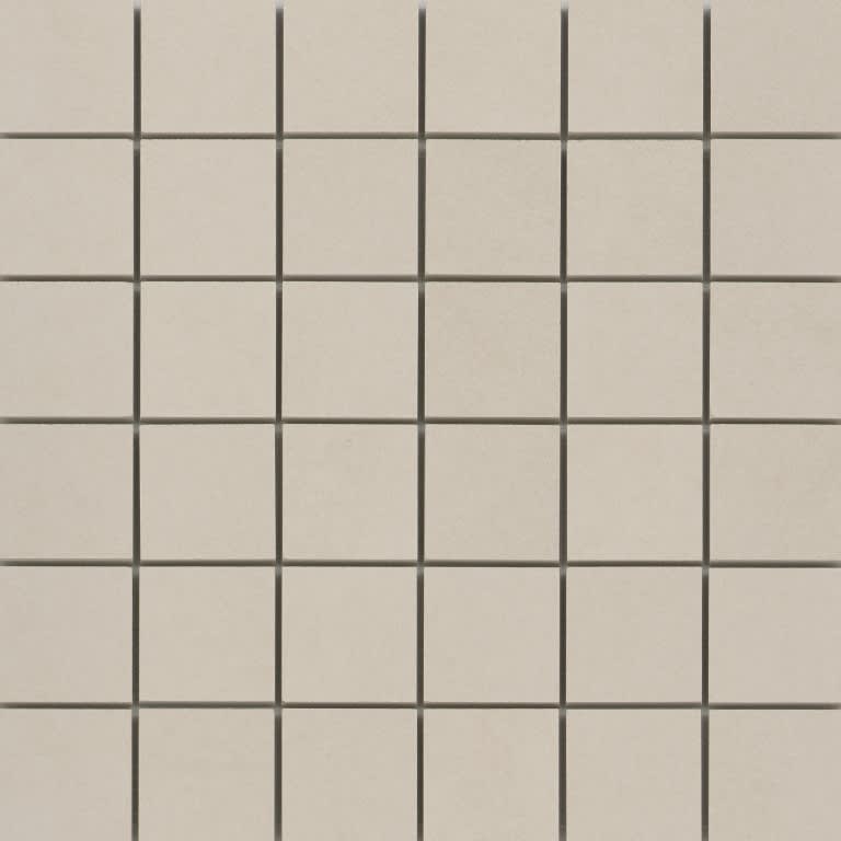 CITIZEN ELECTOR MT MO/12X12