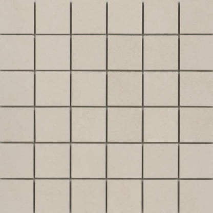 CITIZEN ELECTOR MT MO/12X12