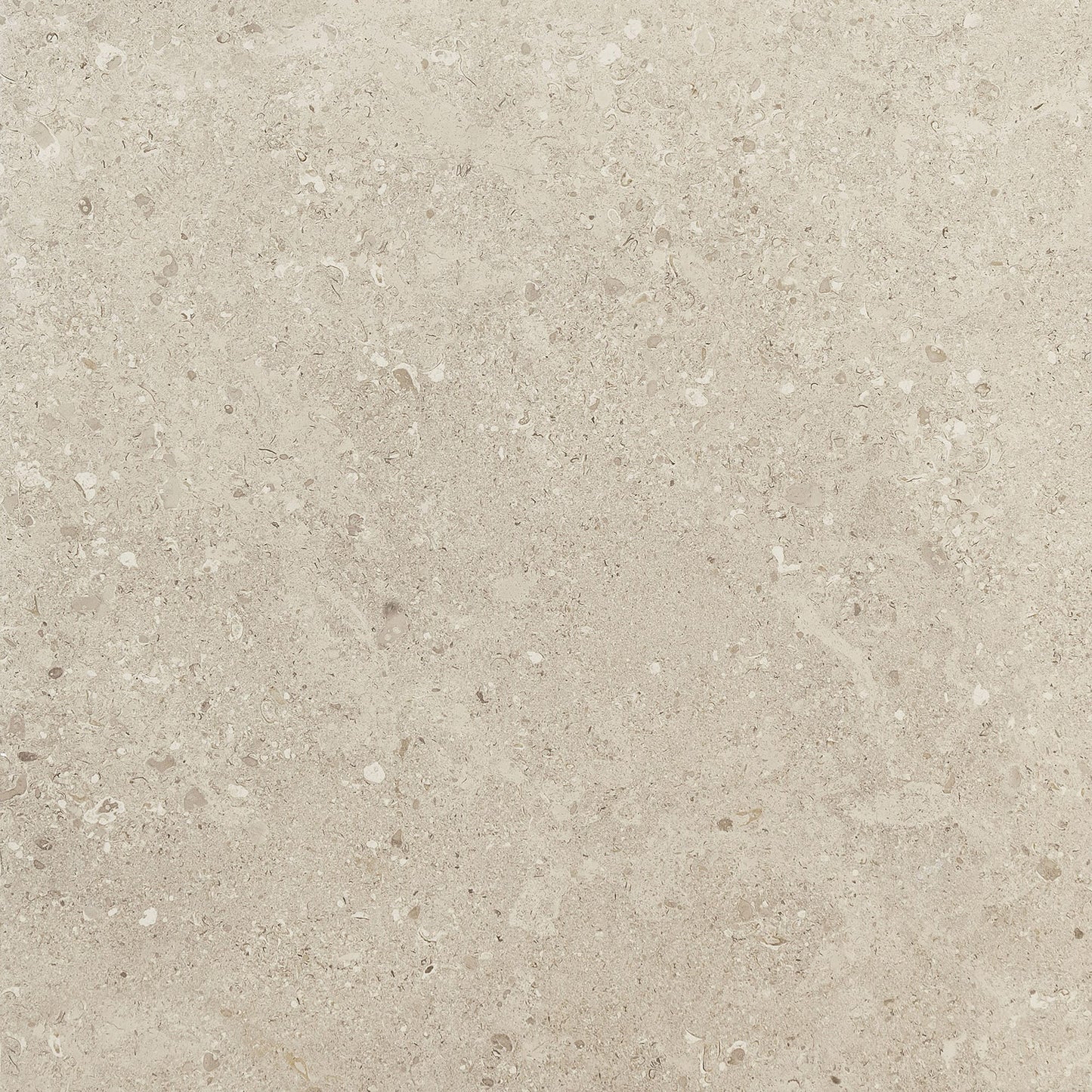Dignitary Notable Beige Xterior Paver 24X24 Textured