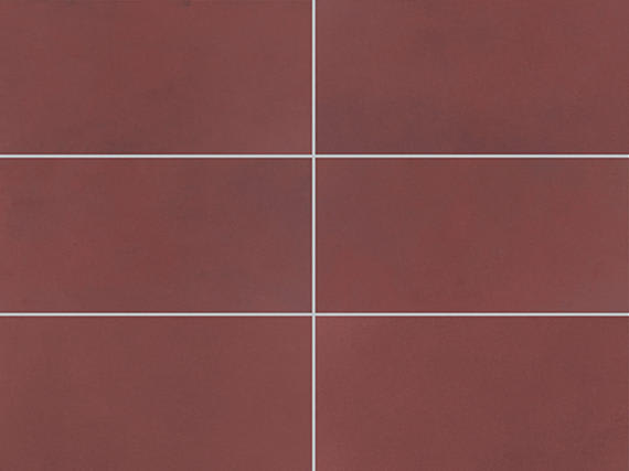 Color Story Floor Matte Passion Rectangle 6X24 Matte