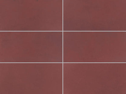 Color Story Wall Passion Rectangle 2X8 Glossy