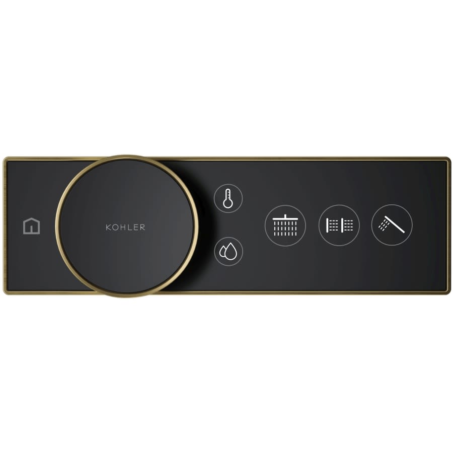 Anthem Programmable Digital Shower Controller