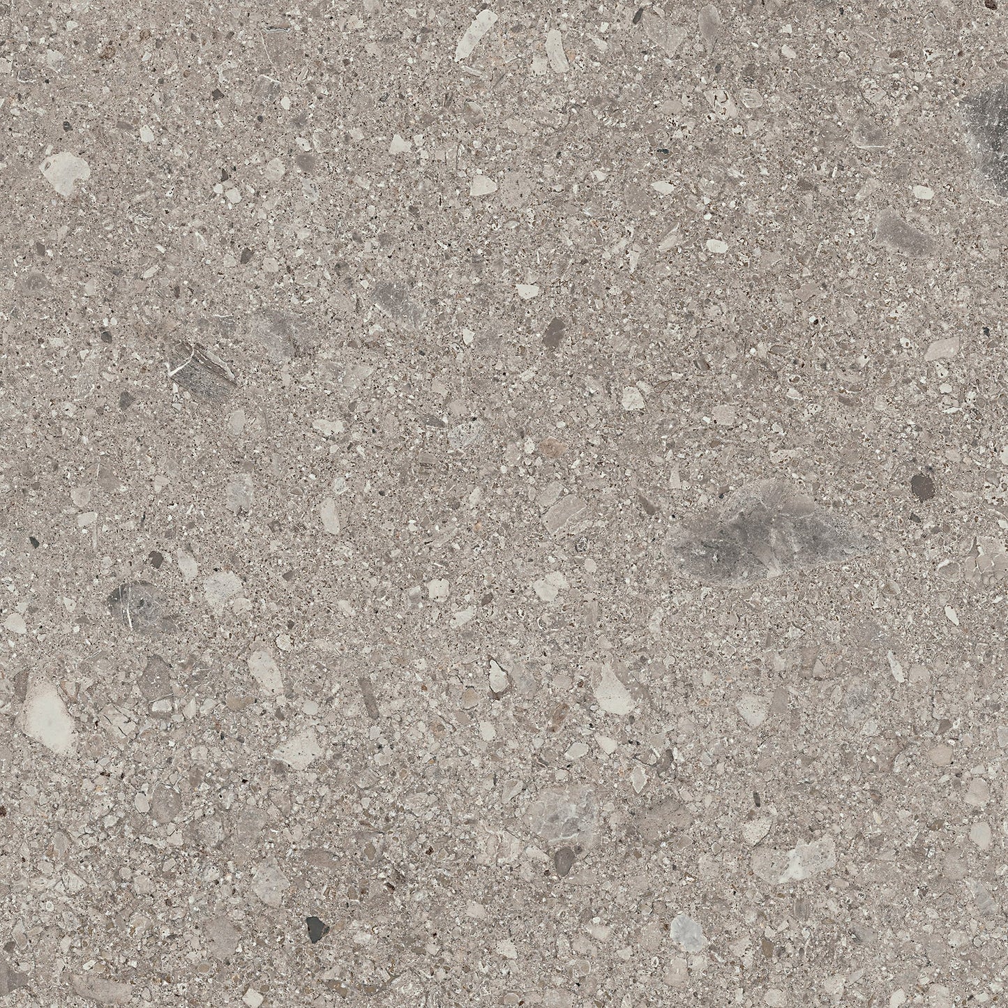 Assemble Magistrate Square 30X30 Matte