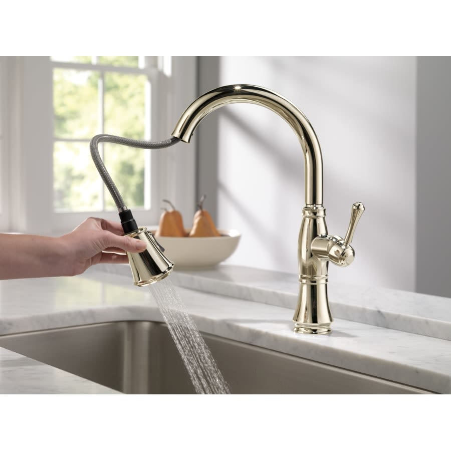 Cassidy Pull-Down Kitchen Faucet with Magnetic Docking Spray Head and ShieldSpray - Includes Lifetime Warranty