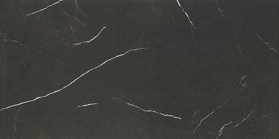 Classentino Marble Centurio Black Rectangle 12X24 Matte