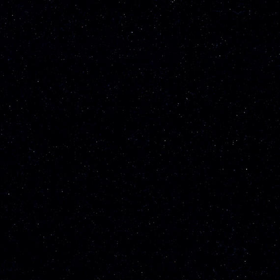 Acadia Black