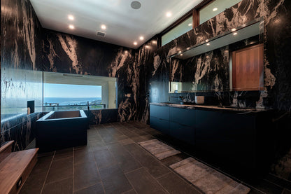 Andes Black Quartzite