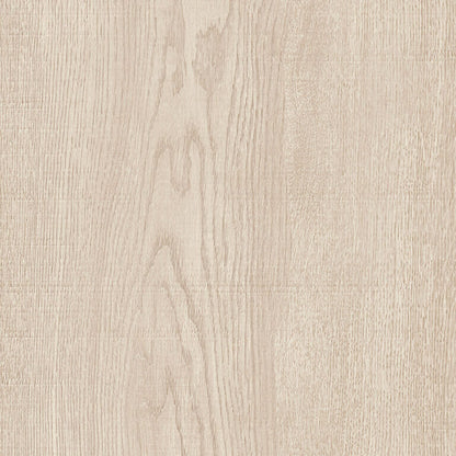 Aspen Tortora