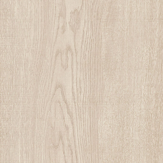 Aspen Tortora