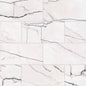 Gemma 12" x 24" Field Tile Polished in Bianca