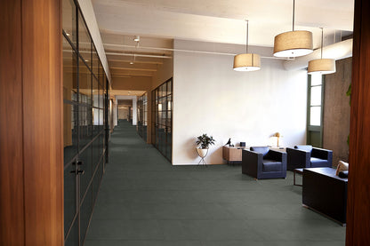 Architecta Graphite