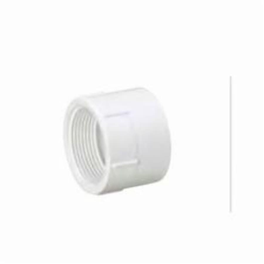 Female Adapter, 4 in, FNPT x Hub, DWV, PVC