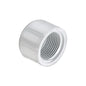Cap, 1-1/4 in, FNPT, SCH 40/STD, PVC