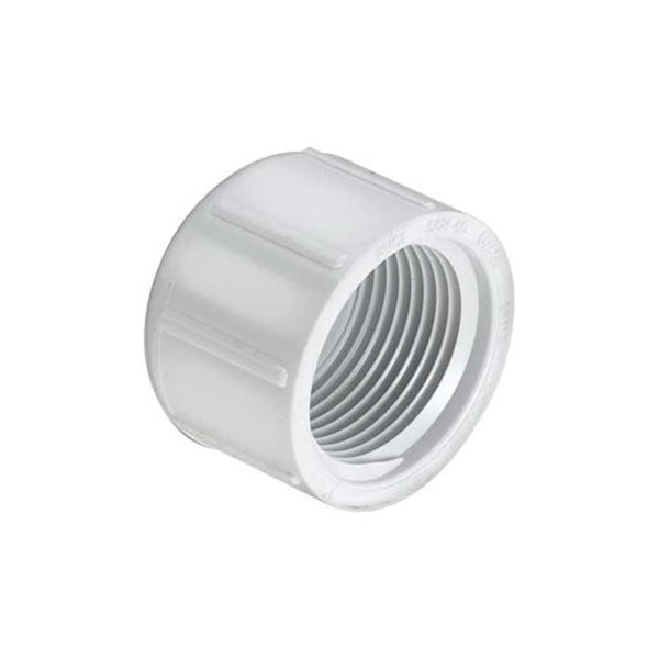 Cap, 1/2 in, FNPT, SCH 40/STD, PVC