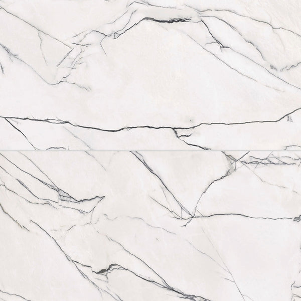 Gemma 24" x 48" Honed Porcelain Field Tile in Bianca
