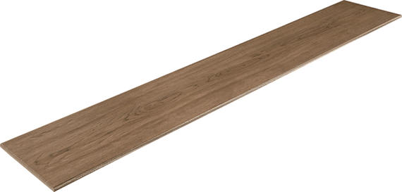 Platinum Avenue Rectangle 8X48 Matte