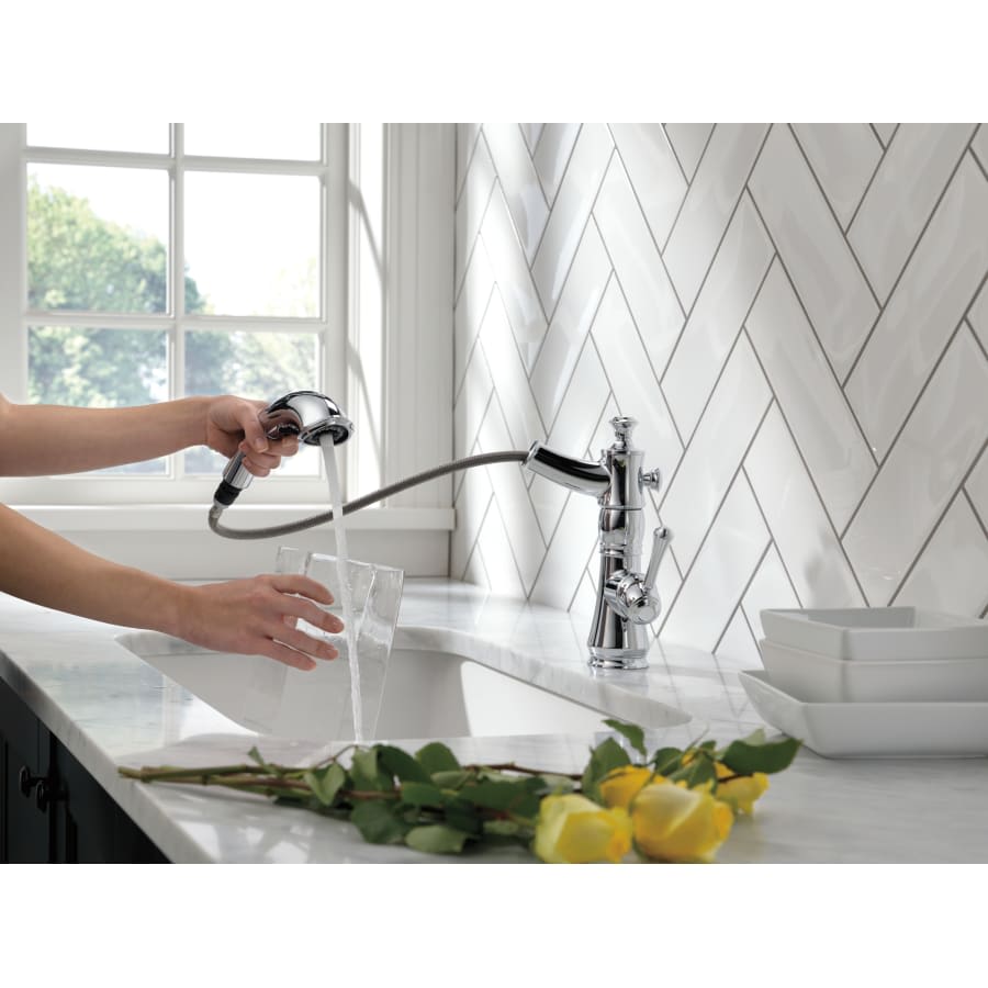 Cassidy Pull-Out Kitchen Faucet - Includes Lifetime Warranty