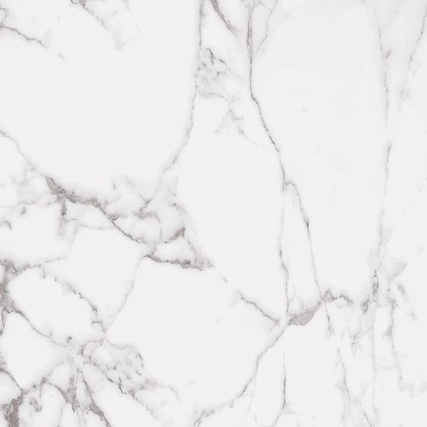 STATUARY WHITE 24X24 R UP