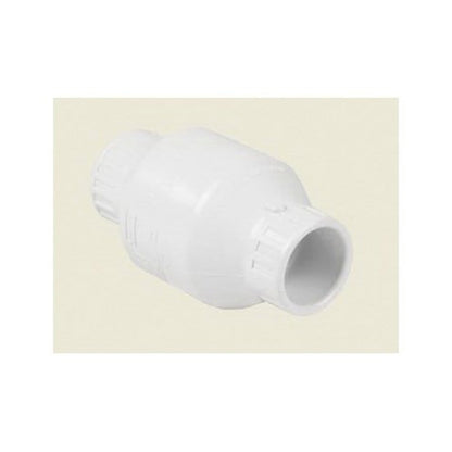 Swing Check Valve, 1 in, Socket, PVC