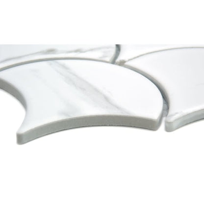 ELEGAN CALACATA MT SHELL/MO