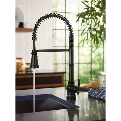 Paterson 1.5 GPM Single Hole Pre-Rinse Pull Down Kitchen Faucet with Power Boost