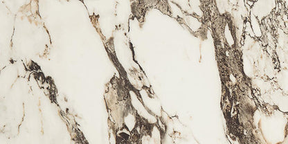Panoramic Duet Calacatta Aries Square 48X48 Matte