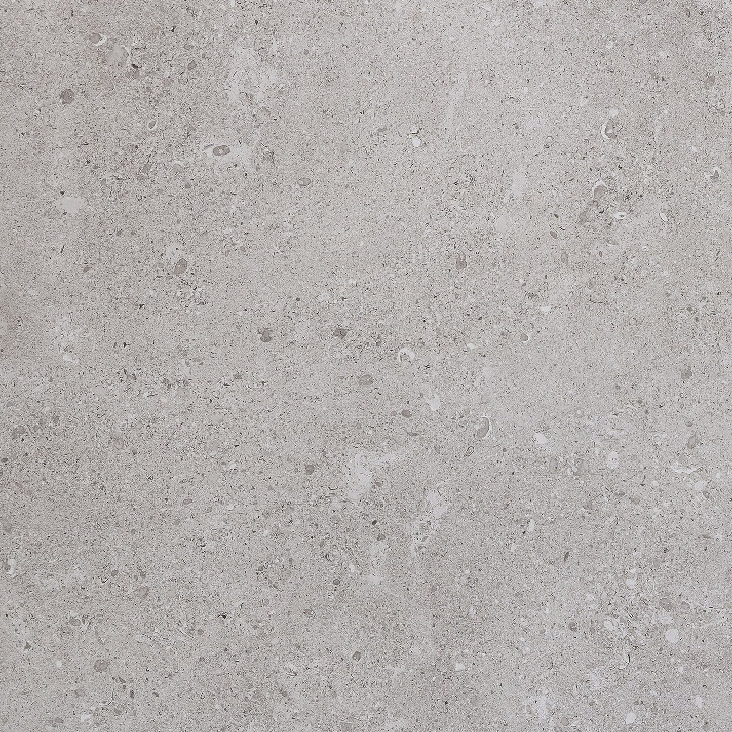 Dignitary Eminence Grey Rectangle 12X24 Polished