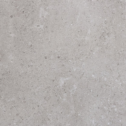 Dignitary Eminence Grey Rectangle 24X48 Matte