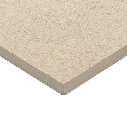 Dignitary Luminary White Xterior Paver 24X24 Textured