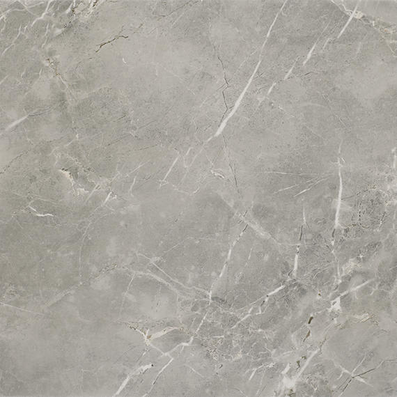 Platinum Dove Square 12X12 Matte