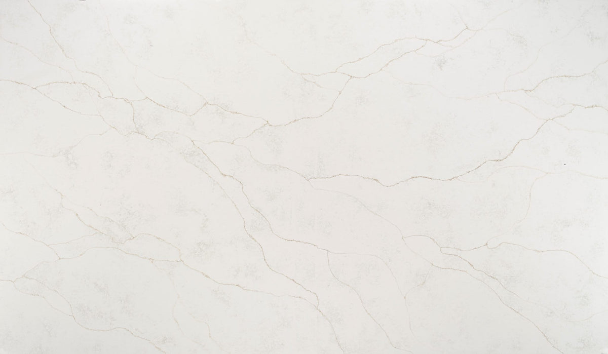Regal d'Oro Super Jumbo