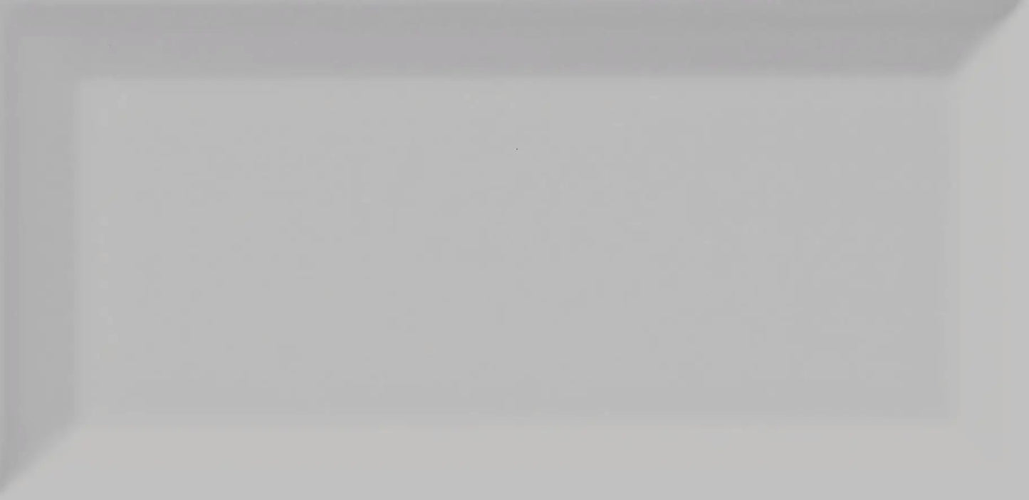 BG TENDER GRAY 4X10 BEVELED