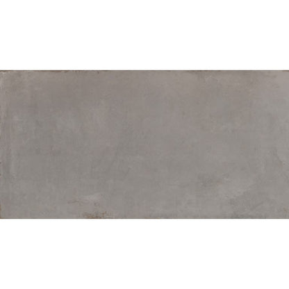 COGENT GRAY 16X31