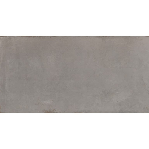 COGENT GRAY 16X31