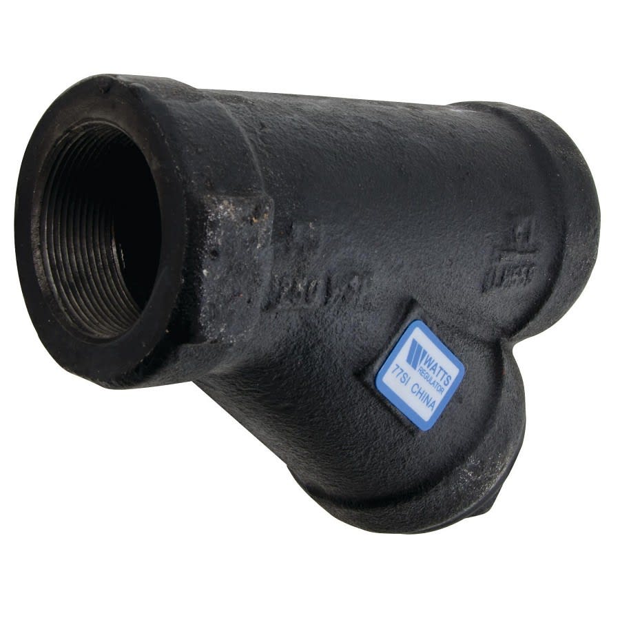 77SI Strainer, 2 in, FNPT, Cast Iron