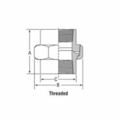 Square Head Plug, 3/4 in, MNPT, SCH 80/XH, Forged Steel, 3000 lb