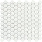 SOURCE PURE WHITE MT 1"HEX/MO