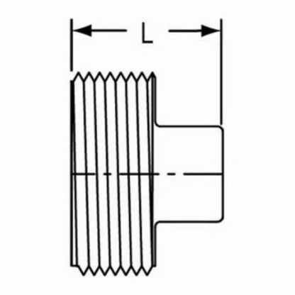 Plug, 6 in, MNPT, DWV, PVC