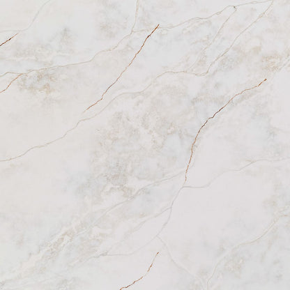 Paonazzo Super Jumbo
