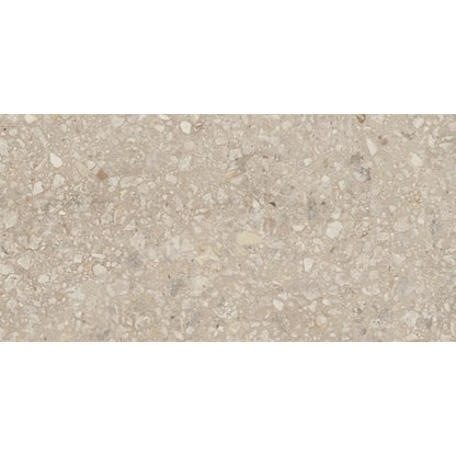 PERENNE PECAN MT 12X24