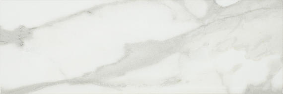 Platinum Magnolia Rectangle 12X24 Matte