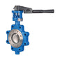 Lug Style Butterfly Valve, Lever Handle, 3 in, Flange, Carbon Steel
