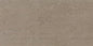 Theoretical Evolved Hibernate Brown Rectangle 12X24 Textured