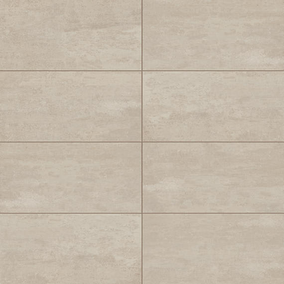 Theoretical Evolved Fundamental Gray Rectangle 12X24 Textured