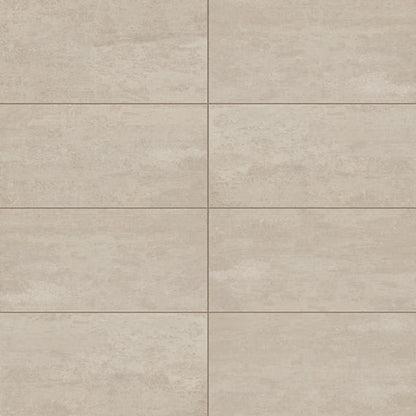 Theoretical Evolved Fundamental Gray Rectangle 12X24 Textured