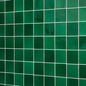 Natural Hues Fern Square 6X6 Matte