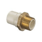Male Adapter, 1-1/4 in, Socket x MNPT Brass, SCH 40/STD, CPVC